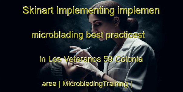Skinart Implementing implemen microblading best practicest in Los Veteranos 59 Colonia area | MicrobladingTraining | MicrobladingClasses | SkinartTraining-United States